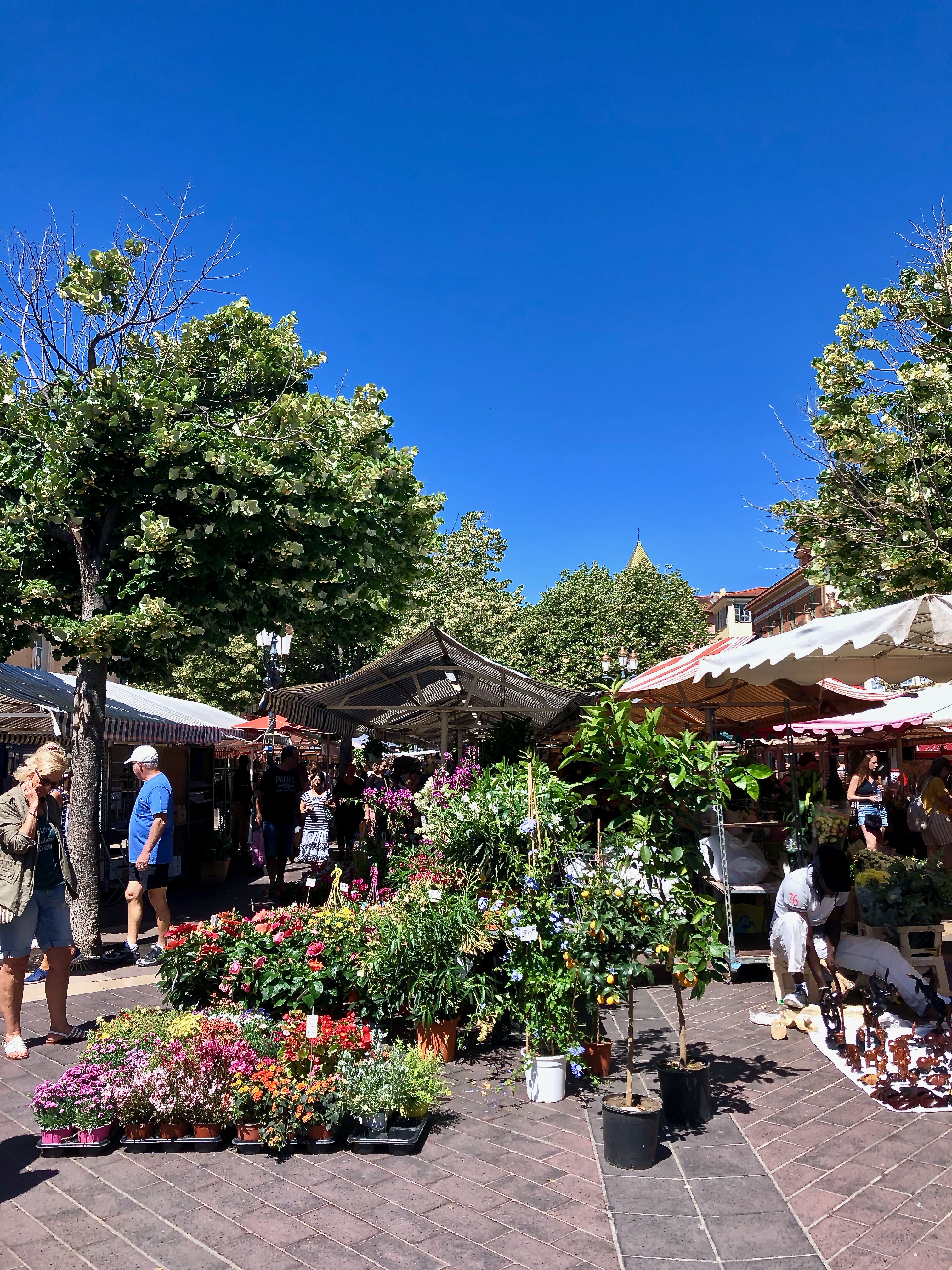flower market in Nice, France